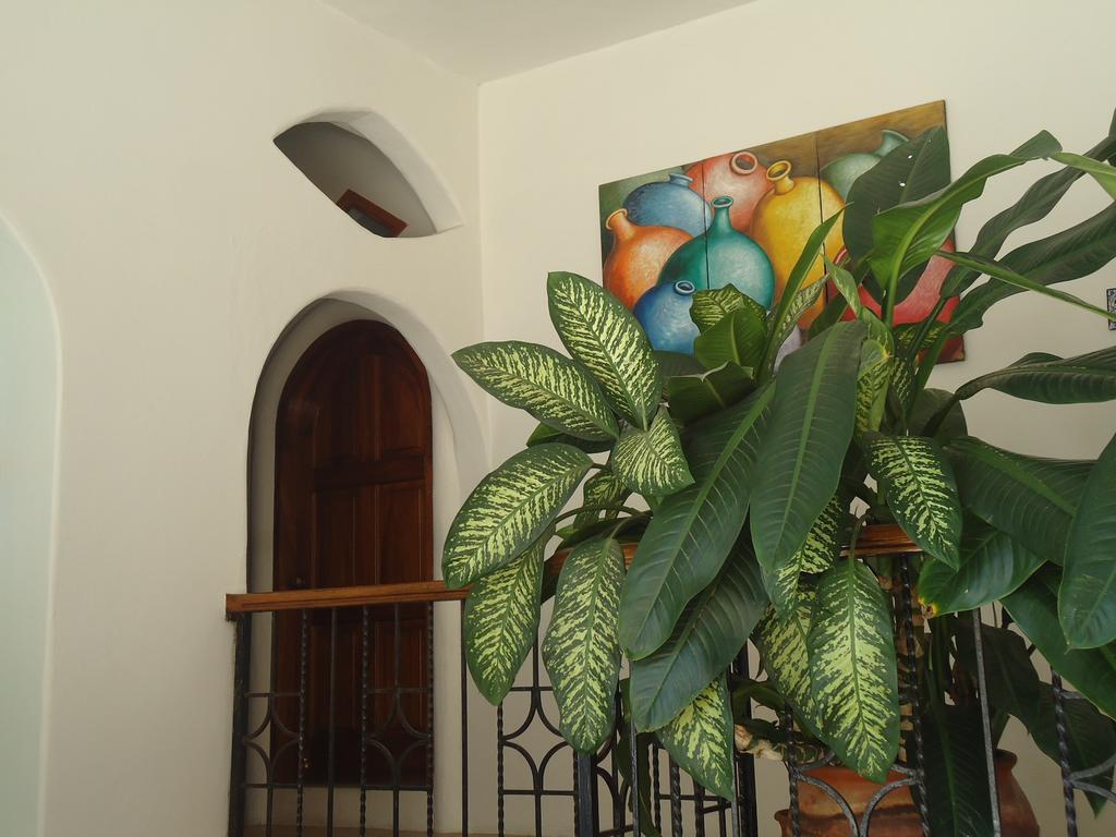 Hotel Cordelia'S Puerto Ángel المظهر الخارجي الصورة